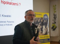 Jedna krowa zalega, nawet 10 może chorować. Ekspert ostrzega rolników