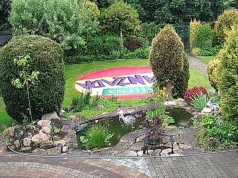 Z oczka wodnego na ogródkach działkowych w centrum Katowic czapla wyjadła wszystkie ryby