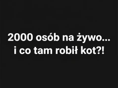 Podstawy OSINT i OPSEC: było nas ponad 2000!