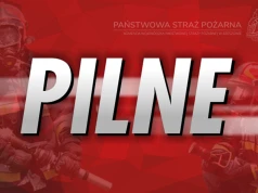 Tragedia w Sędziszowie Małopolskim. Pociąg potrącił mężczyznę, wstrzymano ruch kolejowy!