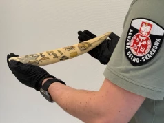 Arktyczny skarb w bagażu 66-latki. Grawerowane kły morsa mogą być warte dziesiątki tysięcy euro