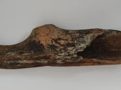 Toporek z poroża prehistorycznego jelenia znaleziony w Wiśle (GALERIA)