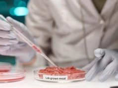 Stek z laboratorium bliżej rynku. Izrael obniża koszt mięsa hodowanego komórkowo