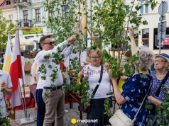 Gałązki brzozy w Boże Ciało trafiają do domów Polaków. W medycynie ludowej mają miejsce od dawna
