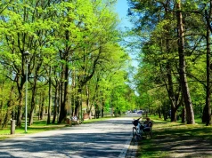 Jedyny park zdrojowy pod Warszawą. Poczujesz się tu trochę jak nad morzem