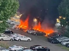 Spalił 20 samochodów elektrycznych. Alergia musiała być silna