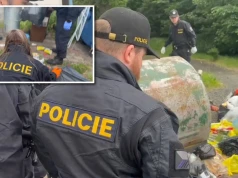 Znaleziono rękę noworodka. Zatrzymana kobieta. "W dziwny sposób zniknął jej brzuch"