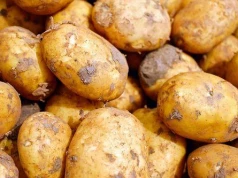 UOKiK nie potwierdził zawyżania marż. Problemem rynku ziemniaków są nadprodukcja i spadający popyt