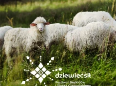 Festiwal „Dziewięćsił” ponownie w regionie. W Bielsku-Białej nocny spacer i górskie atrakcje