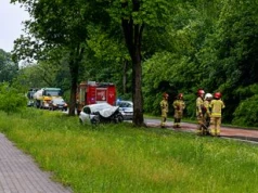 Piła-Dolaszewo: Renault uderzyło w drzewo. Kierowca trafił do szpitala