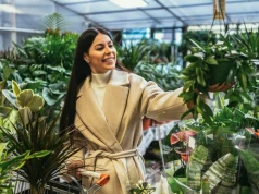 Koniecznie zrób to z kwiatami z marketu. Inaczej zniszczą resztę roślin