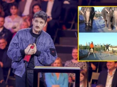 Burza po decyzji Dawida Podsiadły. Artysta tłumaczy się z wykorzystania AI