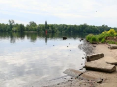 Znowu martwe ryby w Odrze. Wysokie zasolenie i niski poziom tlenu. Są wyniki