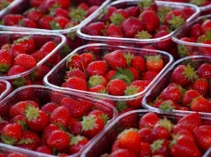 Kupujesz kilogram truskawek, dostajesz mniej. Sprytny sposób zawyżania rachunków