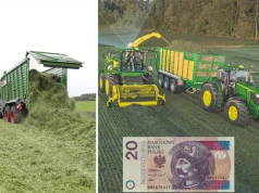 Ile za sieczkarnię i koszenie traw? Znamy nowe ceny usług rolniczych