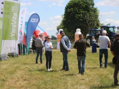 Zielone Pola Osadkowski – nowe odmiany zbóż i rzepaku
