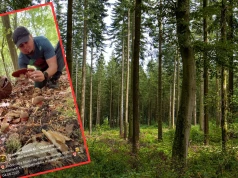 Poszedł na grzyby i pokazał nagranie. "Nie wierzę własnym oczom"