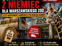Operacja „Siano Grozy”. Trzaskowski odkrywa, że żyrafa nie żyje żurkiem