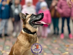 Cztery łapy na emeryturze. Wyjątkowa policjantka z Leżajska kończy służbę