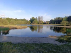 Poranek dla aktywnych | Z głową po zdrowie