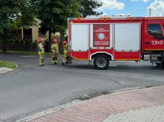 Rozbite auto z wypożyczalni (ZDJĘCIA)