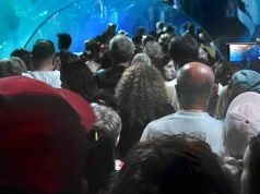 Rozdzieliła się z rodziną w zoo i utknęła w tunelu. Mamy nagranie