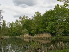 ​Nie żyje 3-latek, który wpadł do przydomowego stawu