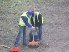 "Leniwy, jak Polak"? Porównanie z innymi krajami nie pozostawia złudzeń