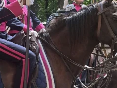 Zaginął koń ułanów. Niecodzienne poszukiwania w Krakowie