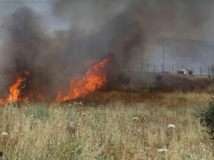 Osadnicy coraz śmielsi. Nowy pogrom na Zachodnim Brzegu