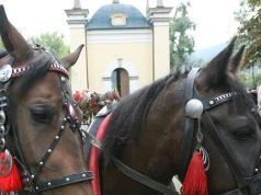 ​Poważny wypadek podczas pielgrzymki. Proboszcz ciężko ranny