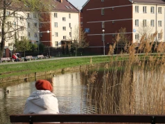 Zabraknie pieniędzy dla emerytów? Bruksela bije na alarm! Fatalna sytuacja polskiego systemu emerytalnego