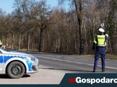 Liczba mandatów z "automatu" wzrosła w rok o jedną piątą!