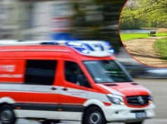 Dramat podczas spaceru po parku. Roczne dziecko zatruło się popularną rośliną