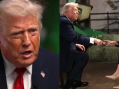 Wściekły Trump przerwał wywiad i rzucił mikrofonem. "Albo jesteś skorumpowana, albo głupia"
