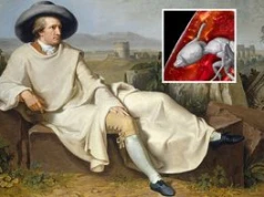 Mrówka sprzed 40 mln lat. Goethe nie miał o niej pojęcia
