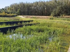 Ekohydrologia bez granic – jak UNESCO buduje międzyrządową współpracę wokół wody