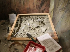 Archeologiczne tajemnice Beskidów. Europejskie Dni Archeologii w Bielsku-Białej