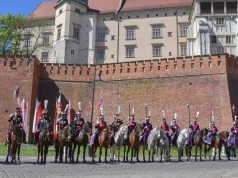 Jak to się stało? Ułanom zaginął… koń. Proszą krakowian o pomoc