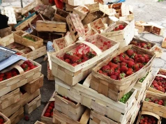 Truskawki tanieją o połowę, bób droższy niż polędwica wieprzowa – szok na rynku owoców i warzyw