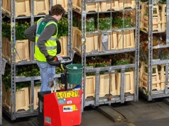 Holendrzy są za ograniczeniem liczby imigrantów zarobkowych