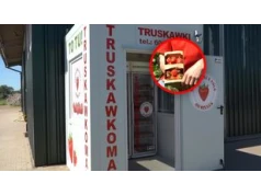 Szał na truskawki z automatu. "O 22:00 też kupują"