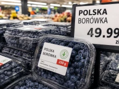 Polskiej borówki jeszcze nie ma. Skąd więc wzięła się na sklepowych półkach?