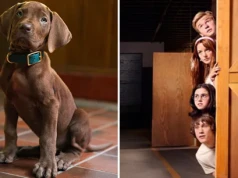 Poznajcie Scooby-Doo. Ten psiak wystąpi w serialu aktorskim Netfliksa
