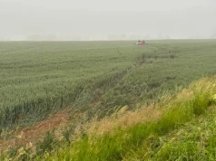 Dachowanie w Bogdance. Auto zatrzymało się na polu daleko od jezdni, kierowca trafił do celi