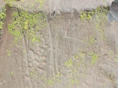 Wandalizm na Teneryfie: niszczenie bezcennych petroglifów Guanczów