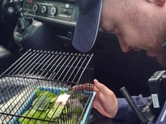 Maluch w opałach. Chomik „aresztował” serce policjanta