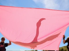 Ogromny protest w Europie. Zięć Trumpa wznosi kurort. To zagraża zwierzętom