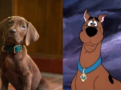 Tak wygląda nowy Scooby-Doo! Pierwszy teaser aktorskiego serialu zaskoczył fanów