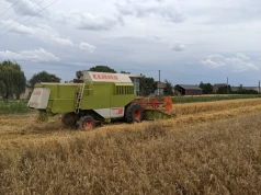 Jaki używany kombajn na 150 ha zbóż i 60 ha kukurydzy? Przegląd rynku do 120 tys. zł